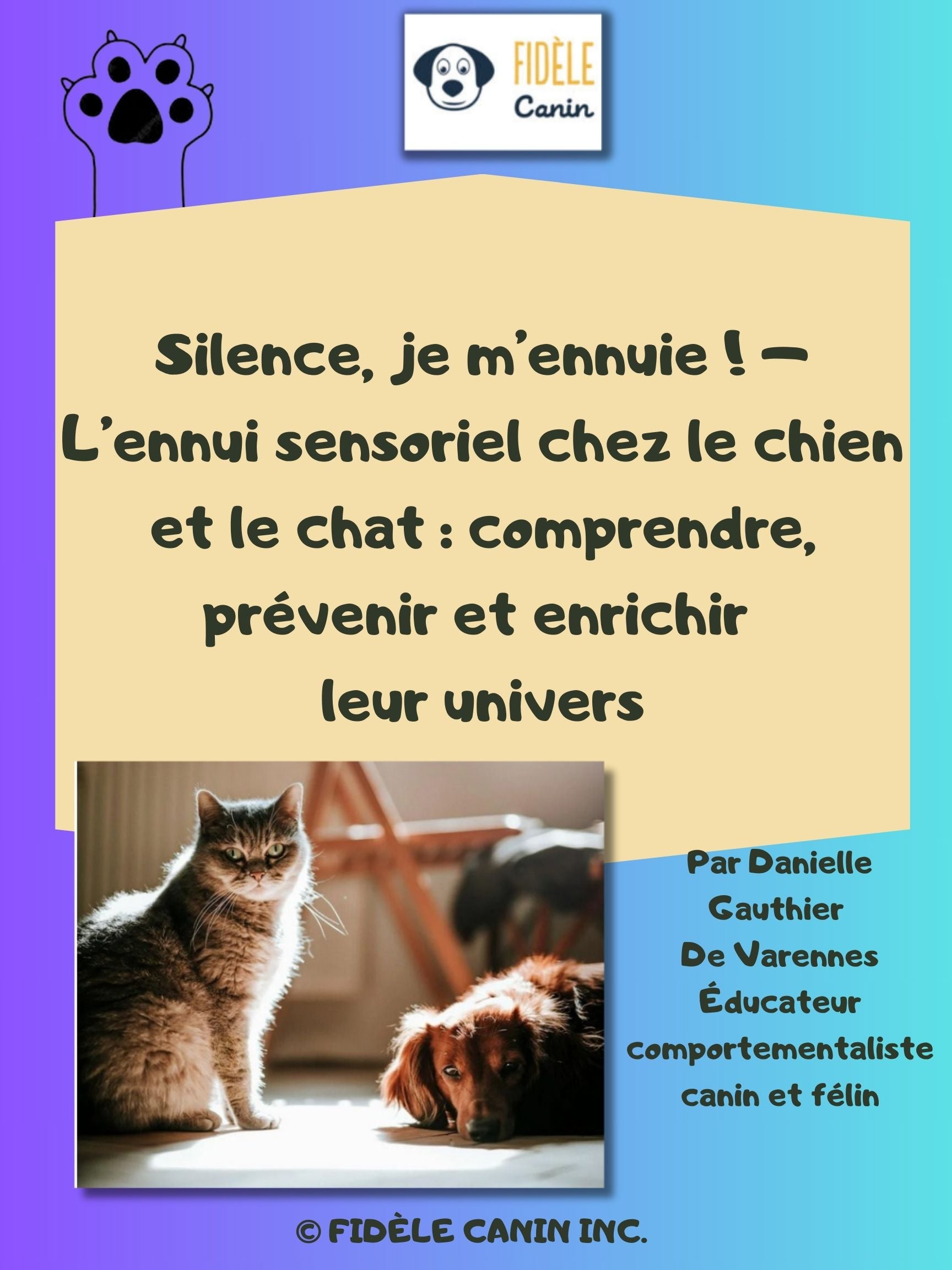 Témoignage : Coralie et Swan, la Bouledogue Français sur roulettes — Chien- Chien, image size:1728x2304